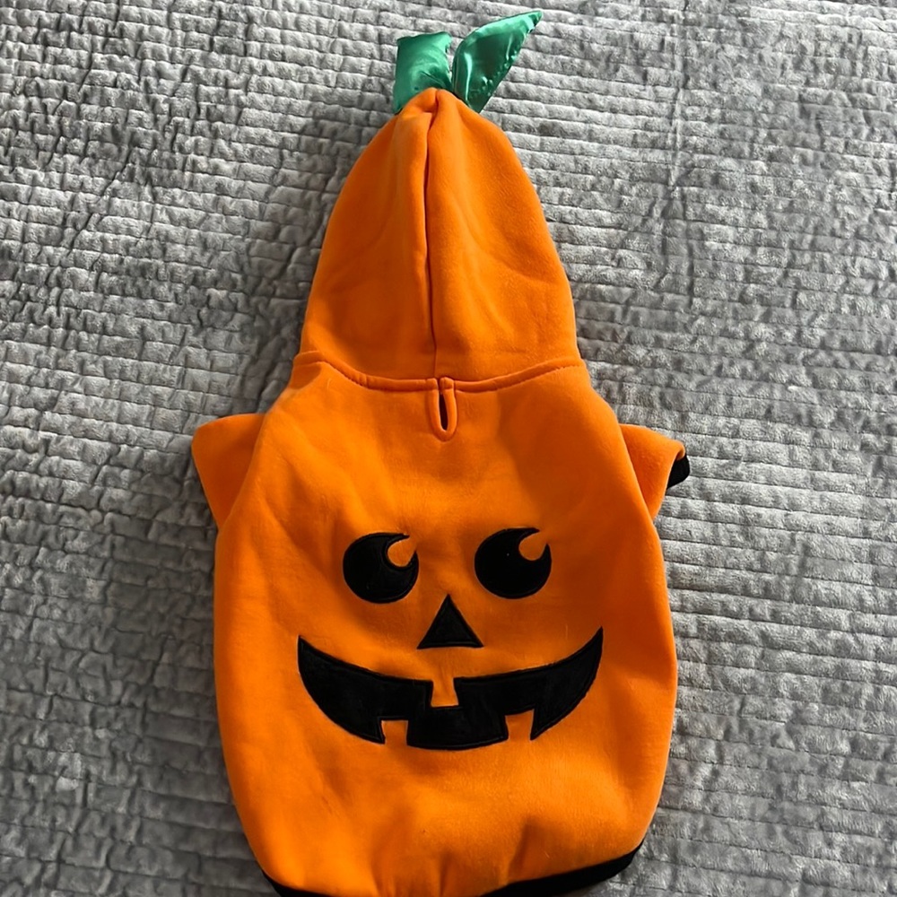 Dog pumpkin sweater